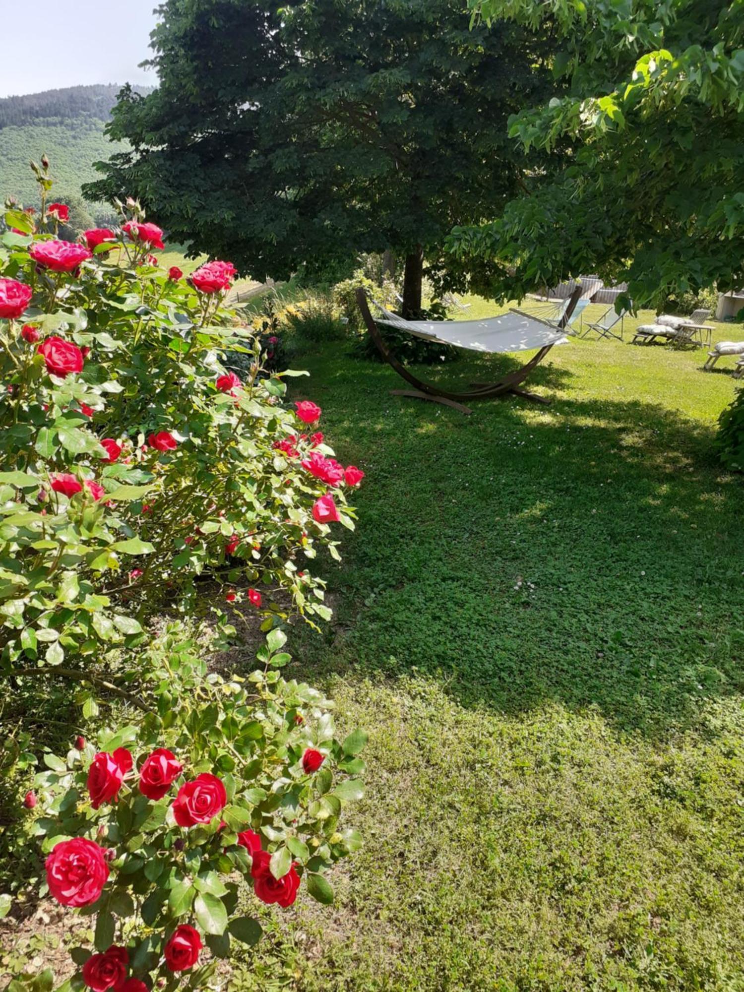 Nabat Le Haut, Chambre Et Table D'Hotes Courniou Exterior foto